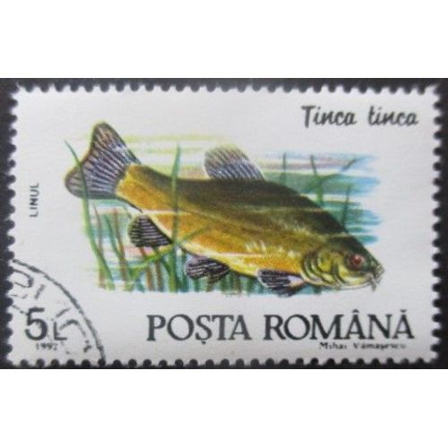 Roumanie N°3992 Poisson Oblitéré