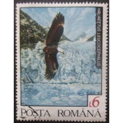 Roumanie N°4033 Rapace Oblitéré