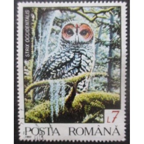 Roumanie N°4034 Hibou Oblitéré