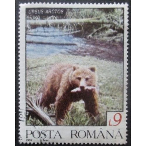 Roumanie N°4035 Ours Oblitéré