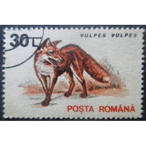 Roumanie N°4098 Renard Oblitéré