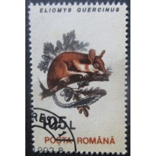 Roumanie N°4101 Rongeur Oblitéré