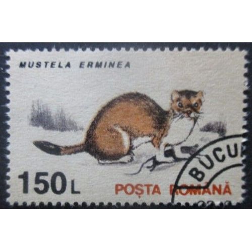 Roumanie N°4102 Hermine Oblitéré