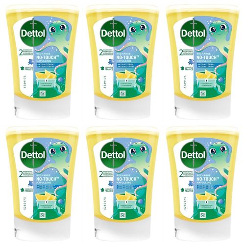 Dettol Lot De 6 Recharges No-Touch Savon Liquide Mains 250 Ml - Action Nettoyante - Citrus 