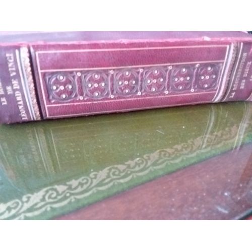 Le Roman De Léonard De Vinci La Résurrection Des Dieux 1901