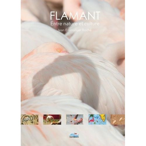 Flamant - Entre Nature Et Culture