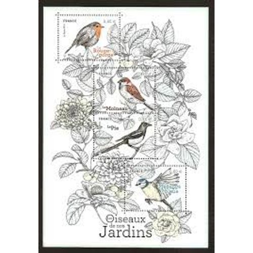 Série Nature De France (32) : Faune : Oiseaux De Nos Jardins Feuillet 5239 Année 2018 N° 5238 5239 5240 5241 Yvert Et Tellier Luxe