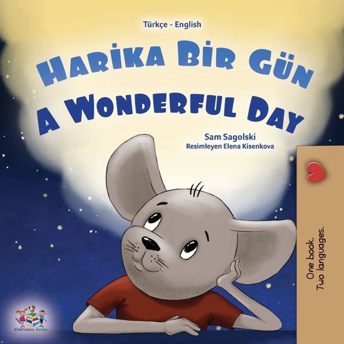 A Wonderful Day (Turkish English Bilingual Book For Kids)