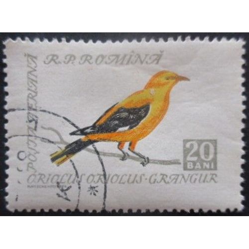 Roumanie Poste Aérienne N°92 Loriot Oblitéré