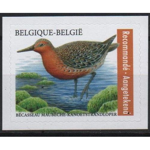 Belgique Timbre Oiseau 2023