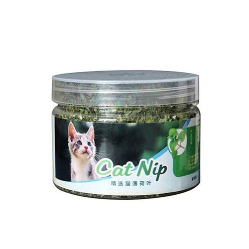 P82d Premium Pour Chat,Friandises Dentaires Propres,Friandises À L'herbe À Chat,À Menthe,Feuilles Menthe - L-E10678234