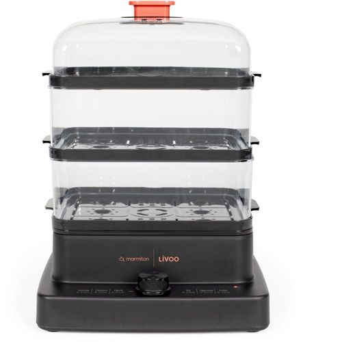 Cuiseur Vapeur LIVOO Doc300
