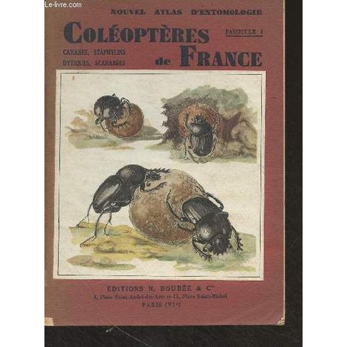 Atlas Des Coléoptères De France - 1. Carabes, Staphylins, Dytiques, Scarabées