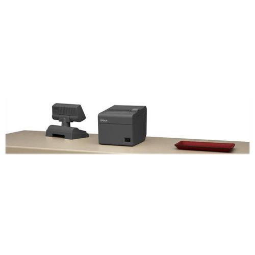 Epson TM T20II - Imprimante de reçus - thermique en ligne - Rouleau (8 cm) - 203 x 203 ppp - jusqu'à 200 mm/sec - USB 2.0, série - outil de coupe - gris foncé