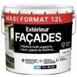 Peinture façade murs appui de fenêtre blanc multi supports 12L 15 ans JULIEN