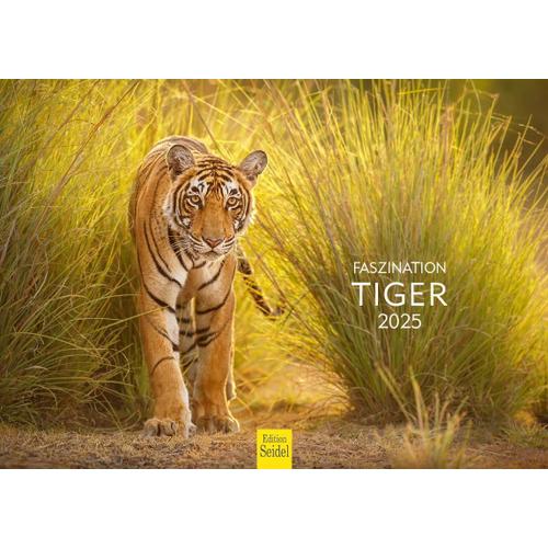 Calendrier Premium Fascination Tigre 2025 Format Din A4 Calendrier Mural Animal En Allemand Afrique Asie Famille De Tigres Grands Chats Prédateurs Animaux Sauvages[Q322]