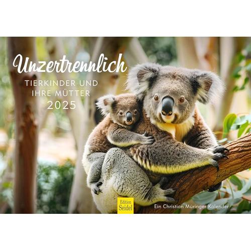 Calendrier Premium Inséparable Enfants D'animaux Et Leurs Mères 2025 Format Din A3 Calendrier Mural Animal En Allemand Koala Renard Polaire Raton Laveur Christian Müringer[Q928]