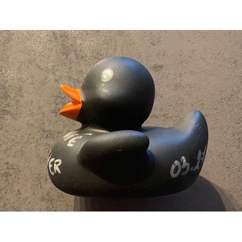 Canard Noir En Plastique