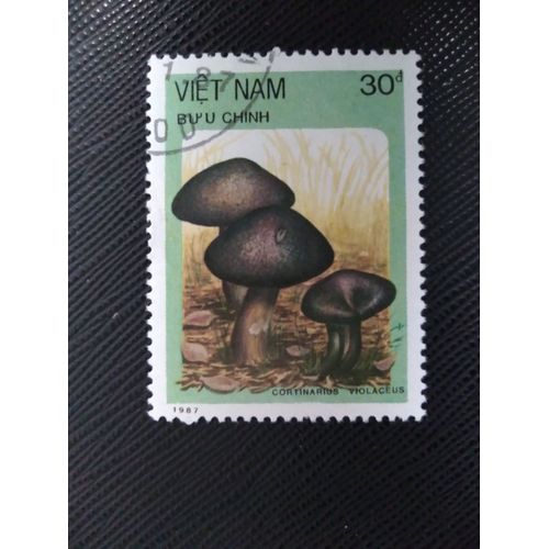 Timbre Vietnam Yt 853 Champignons - Cortinarius Violaceus 1987 ( 120109 )