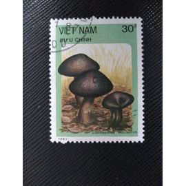 Timbre Vietnam Yt 853 Champignons - Cortinarius Violaceus 1987 ( 120109 )