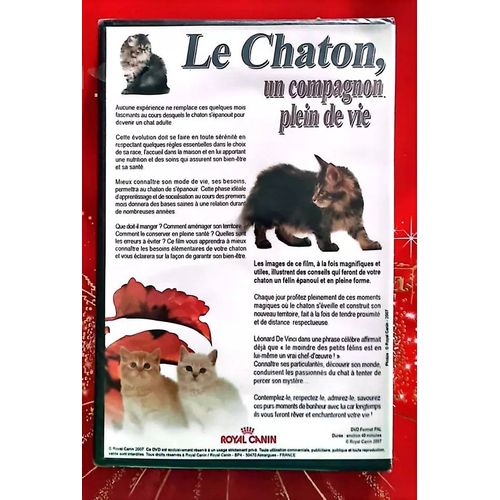 Dvd Documentaire Le Chaton Un Compagnon Plein De Vie Chat/ 26/M2