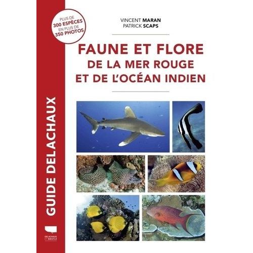 Faune Et Flore De La Mer Rouge Et De L'océan Indien