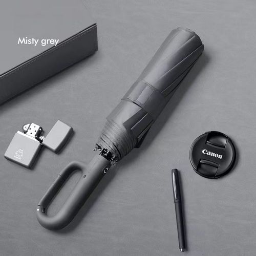 Parapluie Pliable Extra Large Entièrement Automatique Pour Homme,Double Ombrelle,20 Baleines,Pour Le Bain- Gris Clair-G