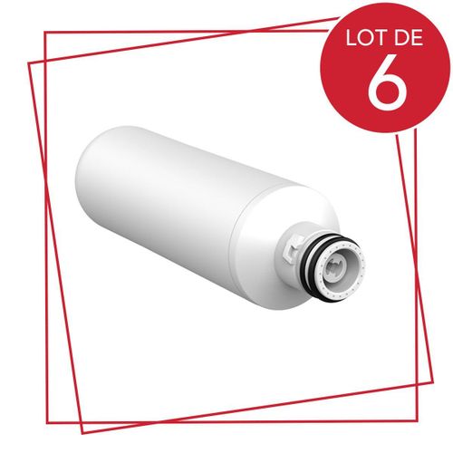 Lot de 6 filtres à eau SIDE BY SIDE Réfrigérateur congélateur (AGF80300704 ADQ74793514 LG)