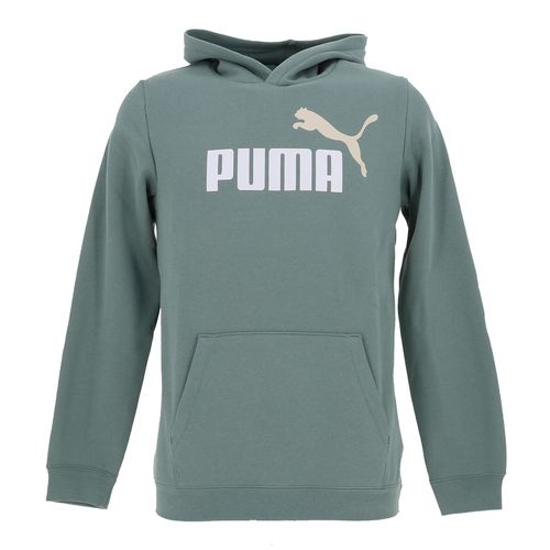 Sweat Capuche Hooded Puma Ess 2 Color No. 1 Logo Hoodie Fl B Vert 164 Cm