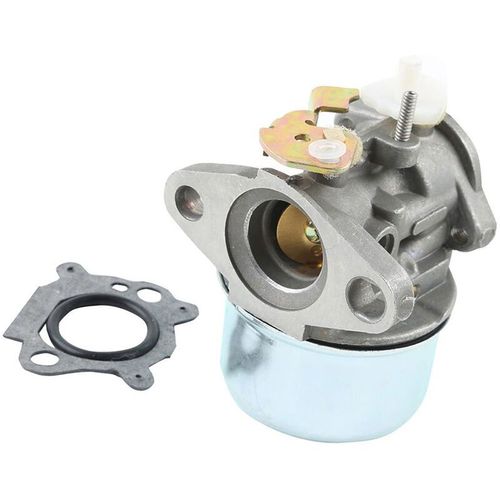 Nouveau Carburateur Adapte Aux Moteurs Briggs & Stratton 497586 499059 498170 Joint De Tondeuse A Gazon