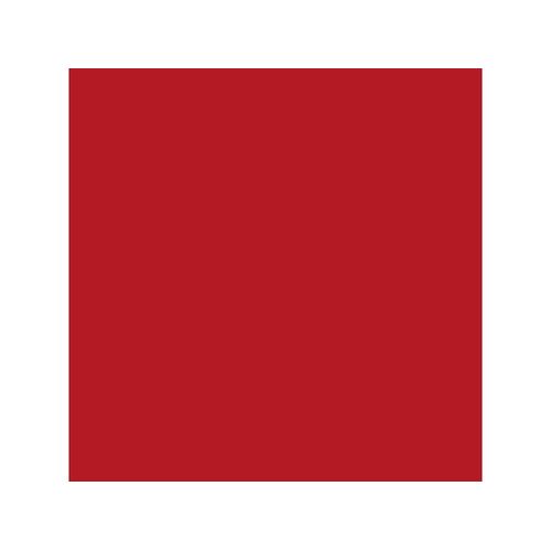 Peinture aérosol relook tout MAISON DECO rouge bolid brillant 0.400 L