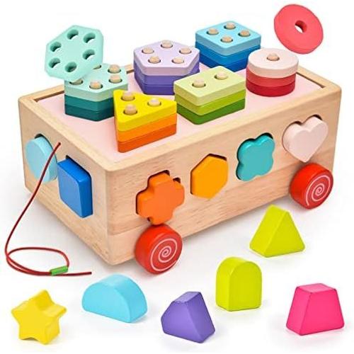 shanjiushi Montessori Jeux en Bois 1 2 3 4 Ans Cube De Tri De