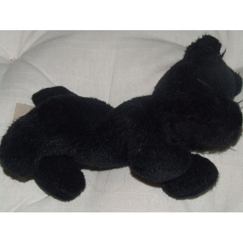 Chien Gipsy Noir