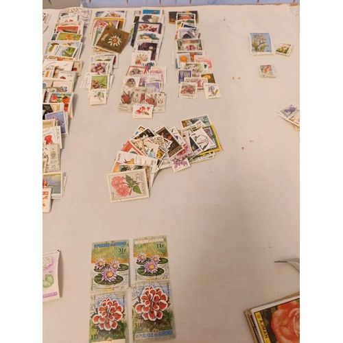 530 Timbres Uniques De La Flore