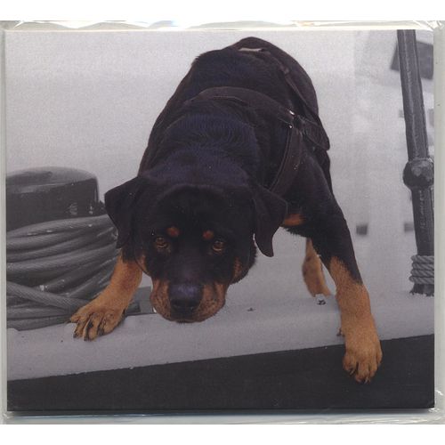 Moli - Laisse Tomber