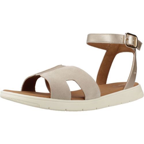 Chaussures Geox D Dandra Colour Marron