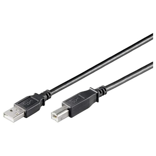 Ewent - Câble USB - USB (M) pour USB type B (M) - USB 2.0 - 3 m - noir