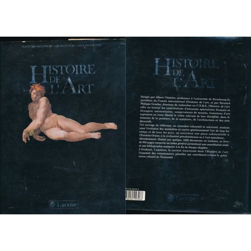 Dictionnaire Larousse  -  Histoire De L'art Peinture Sculpture Architecture Arts Décoratifs