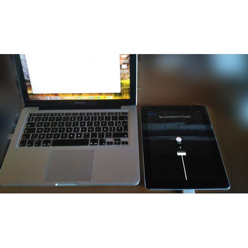 Écran LCD d'origine Apple pour iPad 2 A1395