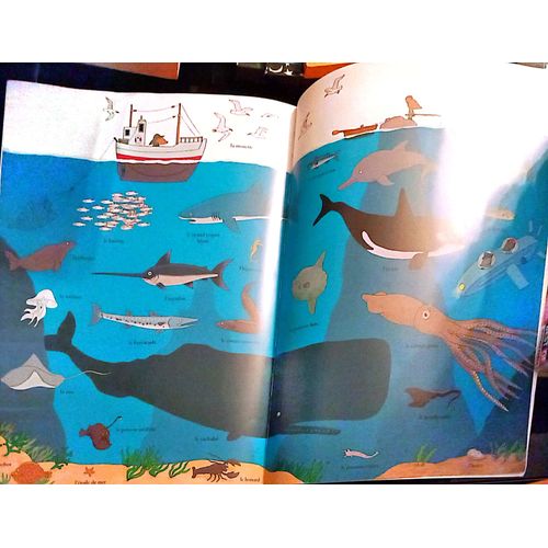 Le Grand Imagier Des Animaux Du Monde/ 29/M2