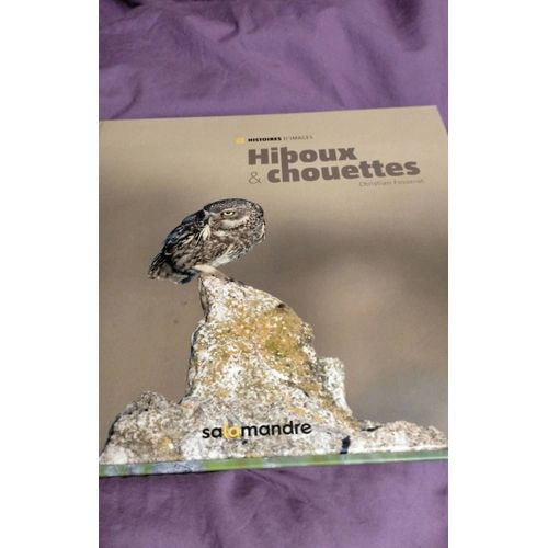 Hiboux Et Chouettes