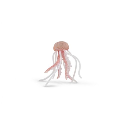 L'univers Marin Méduse