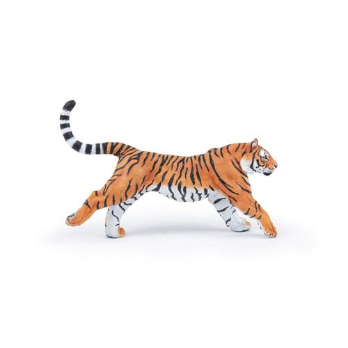 La Vie Sauvage Tigre Courant