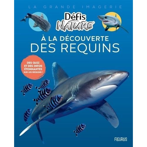 A La Découverte Des Requins - Des Quiz Et Des Infos Étonnantes Sur Les Requins !