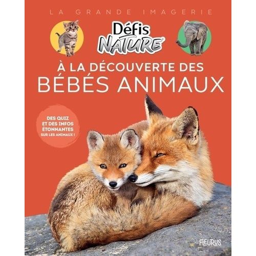 A La Découverte Des Bébés Animaux - Des Quiz Et Des Infos Étonnantes Sur Les Animaux !