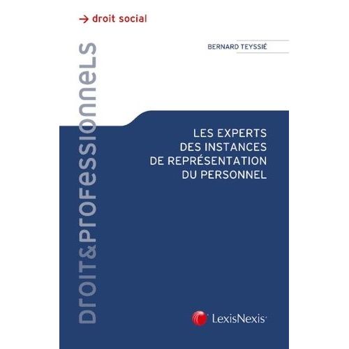 Les Experts Des Instances De Représentation Du Personnel