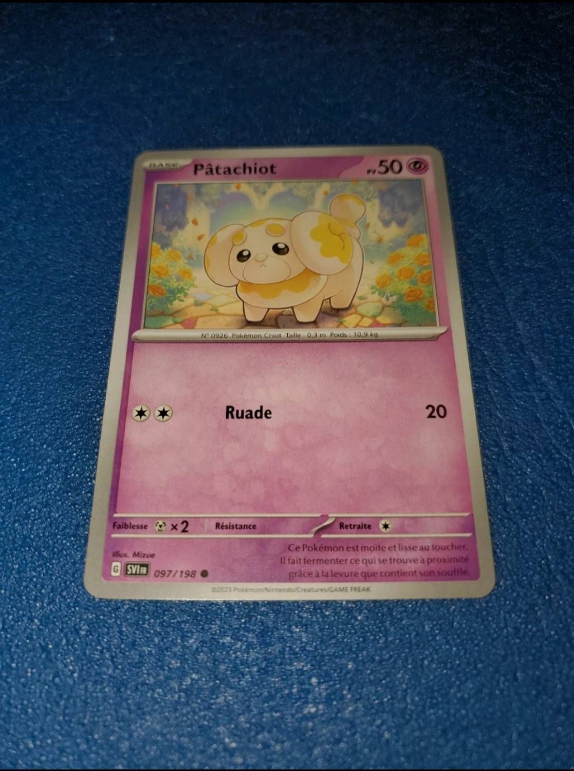 Patachiot 097 198 Carte Card Pokemon Pokémon