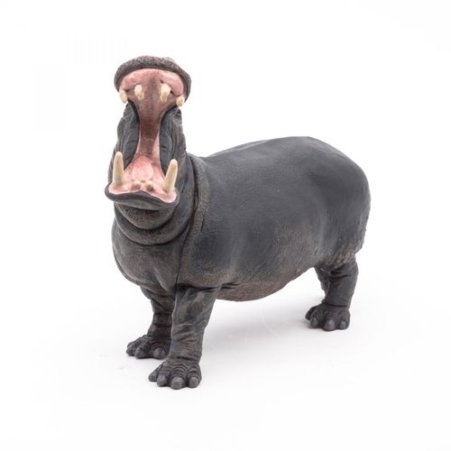 La Vie Sauvage Hippopotame