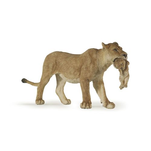 La Vie Sauvage Lionne Avec Lionceau