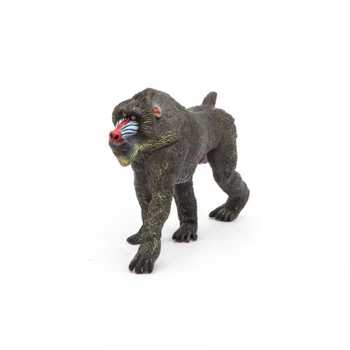 La Vie Sauvage Mandrill